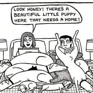 Meet your Posher, Vanda